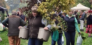 Plant fair marks 30th anniversary with record exhibitors