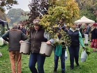 Plant fair marks 30th anniversary with record exhibitors