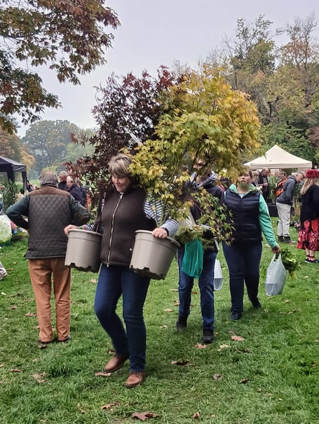 A previous Hargest Croft Gardens Spring Fair