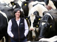 App helps farmers cut antibiotics and boost herd health