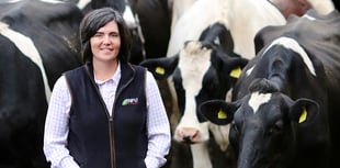 App helps farmers cut antibiotics and boost herd health