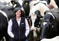 App helps farmers cut antibiotics and boost herd health