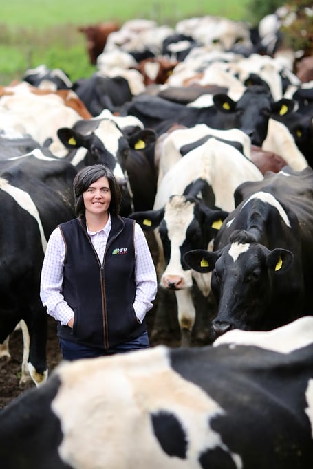 Abi Reader has been trialling the HerdSafe biosecurity app on her Vale of Glamorgan farm