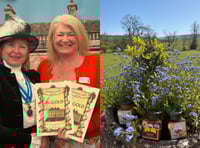 Talgarth preserve maker wins three global marmalade awards