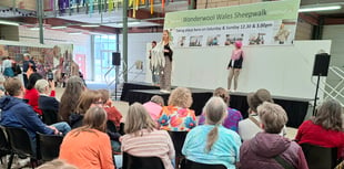 Sun shines on record-breaking Wonderwool Wales show 