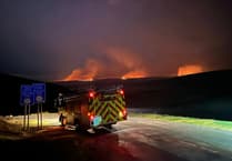 Warning issued over wildfire danger ahead of Bank Holiday