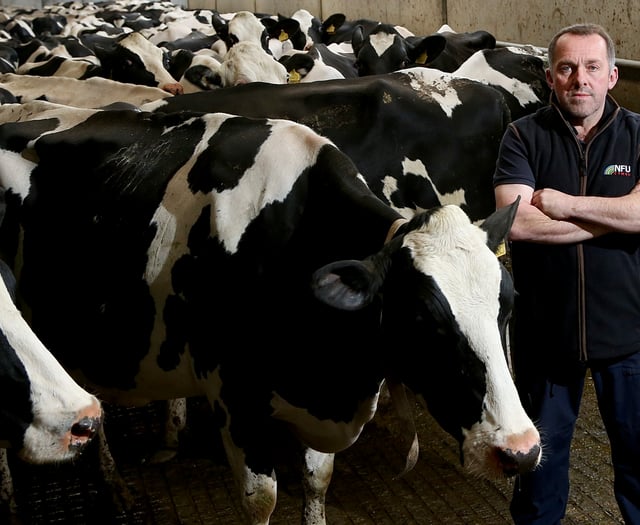 Next Welsh Government must act on bovine TB, farmers say