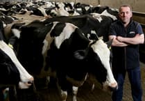 Next Welsh Government must act on bovine TB, farmers say