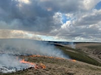 Wildfires continue for fifth day in Elan Valley
