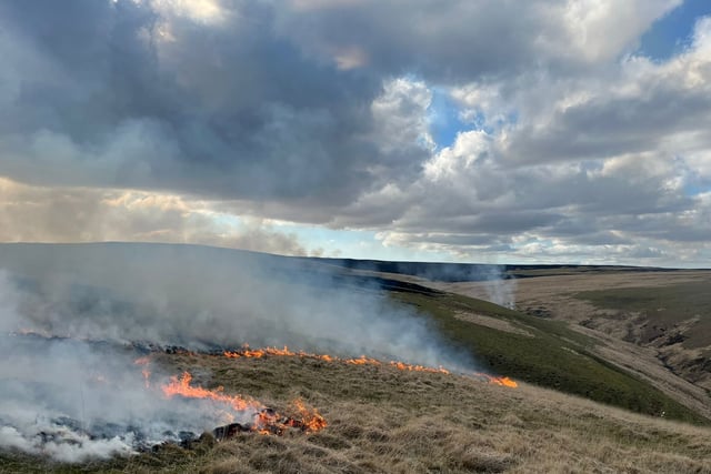 Wildfires continue for fifth day in Elan Valley