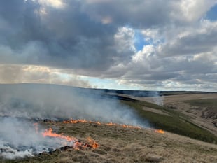 Wildfires continue for fifth day in Elan Valley