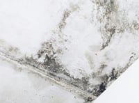 Charity urges action on damp homes crisis