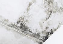 Charity urges action on damp homes crisis