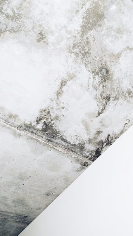 Mould and poor housing conditions pose serious risks to respiratory health.