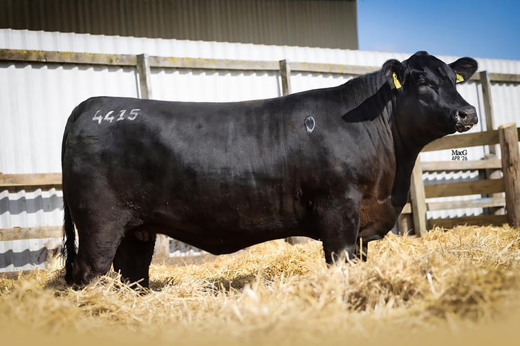 Dowbiggin Marketing and Halls auctioneers
