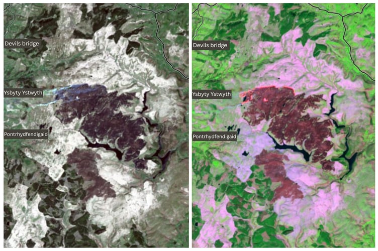 The 2026 Elan Valley wildfire seen from space last week. Left - the normal satellite image. Right - the image enhanced to see the contrast and active line of fire. The dark purple shows the burnt land, the light pink shows the prevalence of molinia grass which fuels the fire. Photo: Esri/ Landsat