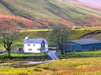 Four Elan Valley farms released in rare letting opportunity