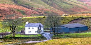 Four Elan Valley farms released in rare letting opportunity