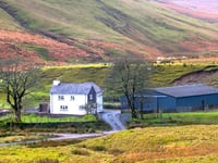 Four Elan Valley farms released in rare letting opportunity
