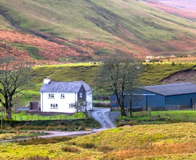 Four Elan Valley farms released in rare letting opportunity