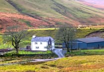 Four Elan Valley farms released in rare letting opportunity