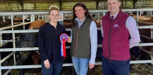 Top stock shine in Brecon spring sales