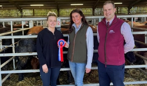 Top stock shine in Brecon spring sales