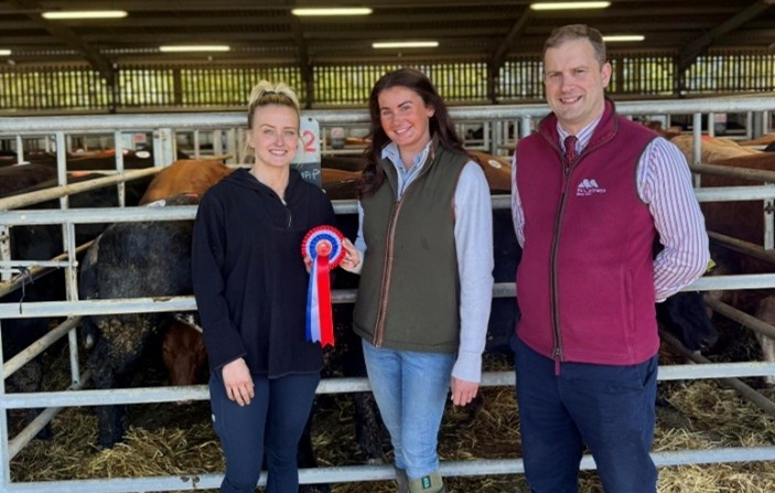 Champions crowned at Brecon livestock market