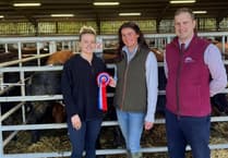 Top stock shine in Brecon spring sales