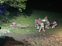Cow rescued from deep mud by firefighters in late-night operation