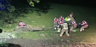 Cow rescued from deep mud by firefighters in late-night operation