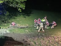 Cow rescued from deep mud by firefighters in late-night operation