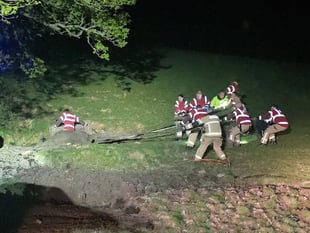 Cow rescued from deep mud by firefighters in late-night operation