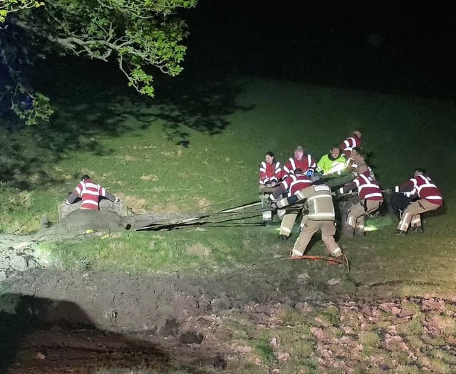 Cow rescued from deep mud by firefighters in late-night operation