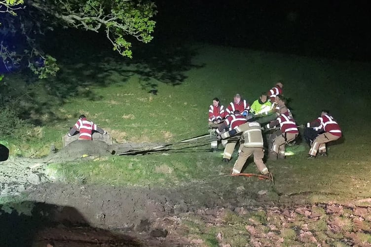 Firefighters work to free a cow trapped deep in mud in a field near Welshpool