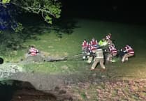 Cow rescued from deep mud by firefighters in late-night operation