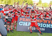 Lee Rees signs off in style as Llandovery claim trophy glory