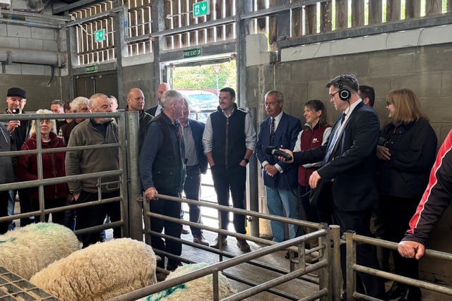 Market report: Strong trade for spring lambs at Brecon market