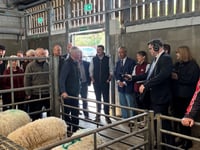 Market report: Strong trade for spring lambs at Brecon market
