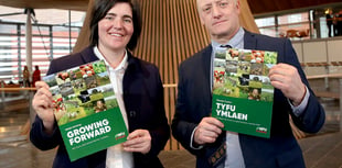 Call for 'equal ambition' from new Senedd on agriculture