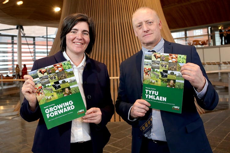 NFU Cymru President Abi Reader and Deputy President Paul Williams at the Senedd