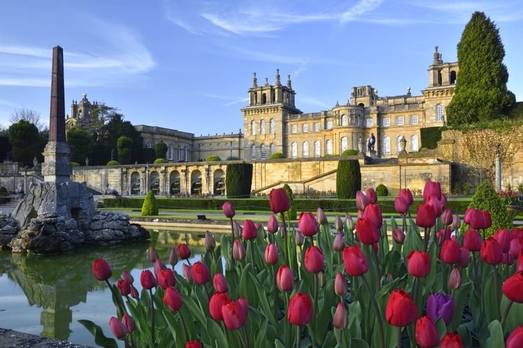 blenheim palace