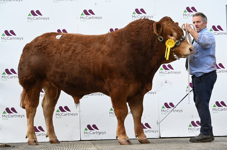 Lot 27 Ashledge Viaduct, 10,000gns from AG Kirton & Sons, Bewdley