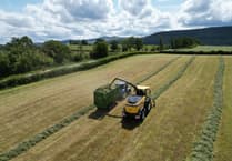 Royal Welsh Grassland Event returns to Brecknock roots this June