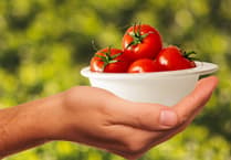 Urgent call for coordinated action to secure Regional Food System across Dyfed Powys