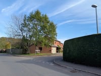 Tree Preservation Order approved for Brecon site despite objections