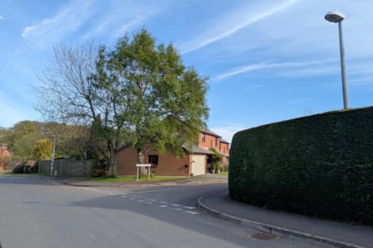 An objection to a Tree Preservation Order on a field maple and silver birch at 39 Beacons Park, Brecon, was voted down by BBNPA’s planning committee