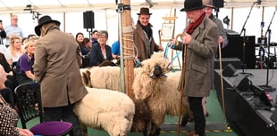 Historic sheep procession marks Royal Welsh Show launch in Hay-on-Wye