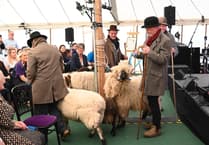 Historic sheep procession marks Royal Welsh Show launch in Hay-on-Wye