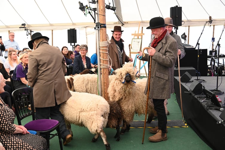 Sheep drovers return to Hay-on-Wye as part of a Royal Welsh Show launch event